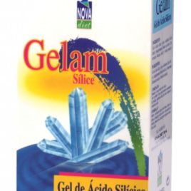 GELAM SILICE 200 ML. NOVADIET