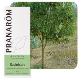 ACEITE ESENCIAL RAVINTSARA 10ML. PRANAROM